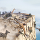 Illustration for article titled Lions, Zebras, Giraffes Run Off Cliff Shrieking En Masse As Shadow Of Melania Trump’s Jet Passes Over Savanna